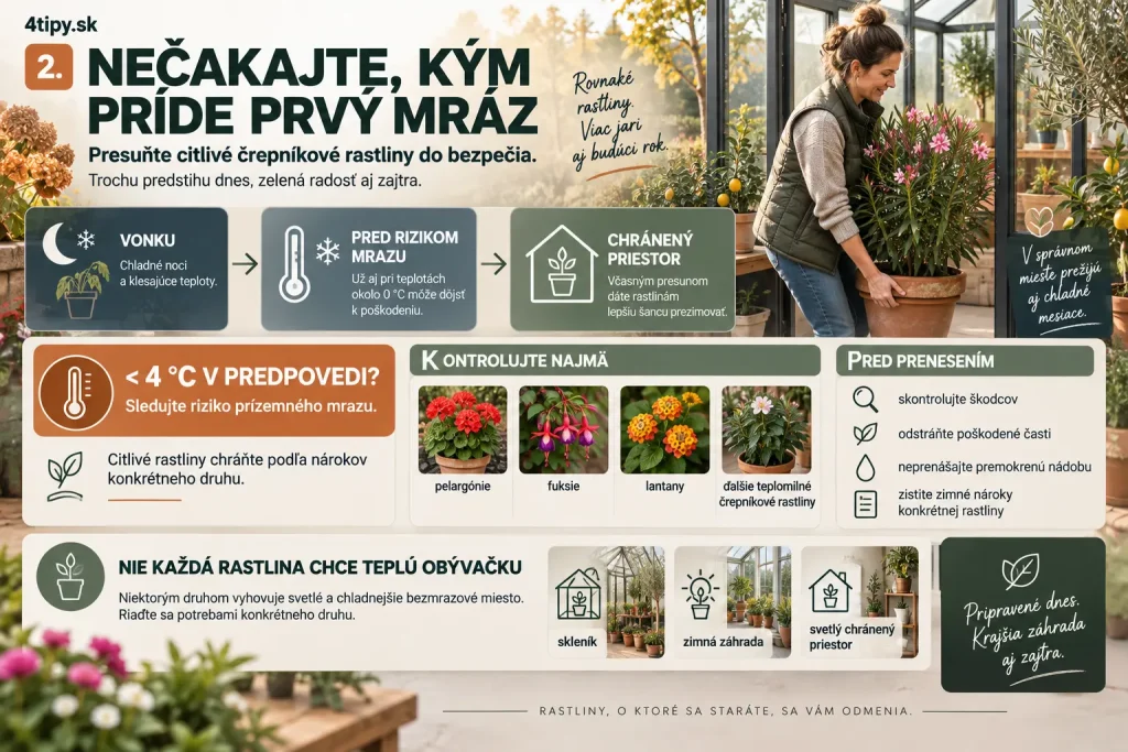 Zazimovanie črepníkových rastlín pred prvým mrazom – citlivé rastliny v kvetináčoch, pelargónie, fuksie a ďalšie chúlostivé rastliny, presun do skleníka alebo chráneného priestoru, ochrana koreňov pred mrazom, jesenná starostlivosť o rastliny v nádobách.