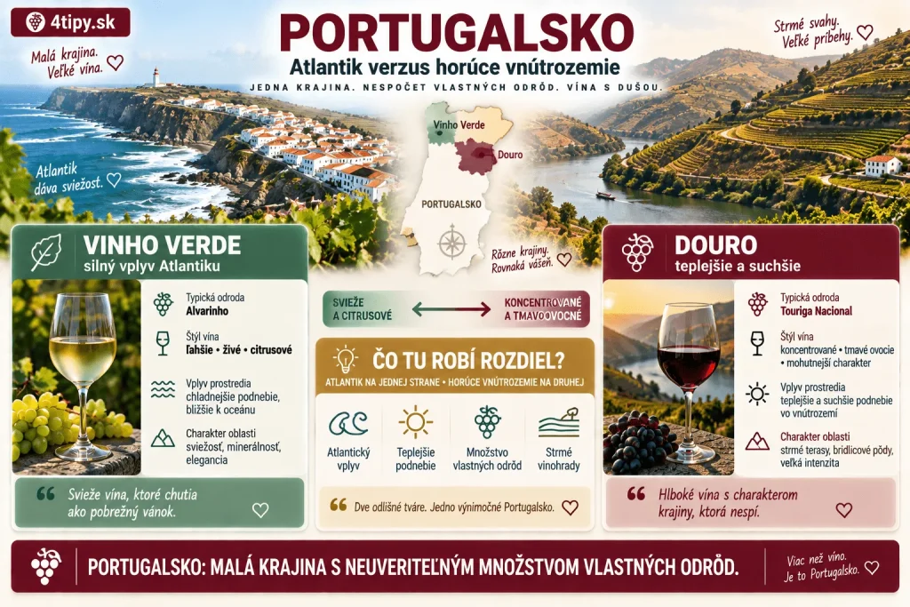 Prémiová infografika o portugalskom víne, Vinho Verde a údolí Douro, odrodách Alvarinho a Touriga Nacional a rozdiele medzi chladnejším atlantickým podnebím a horúcim suchším vnútrozemím Portugalska.