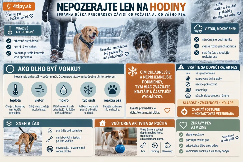 Zimné prechádzky so psom – dĺžka prechádzky podľa chladu, vetra, dažďa, snehu a mokra, príznaky podchladenia psa, trasenie, dvíhanie labiek, spomalenie, slabosť a zmätenosť, krátke častejšie vychádzky, vodítko na snehu a bezpečnosť psa v zime.