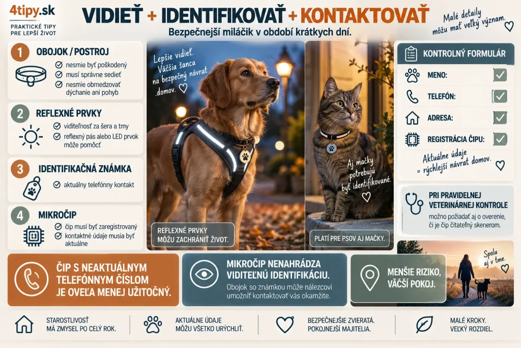 Obojok, postroj a reflexné prvky pre psa v zime – bezpečnosť psa za tmy, reflexný obojok, LED svetlo, vodítko, identifikačná známka, mikročip psa a mačky, aktualizácia telefónneho čísla a adresy v registri čipu, viditeľnosť domácich zvierat počas zimných prechádzok.