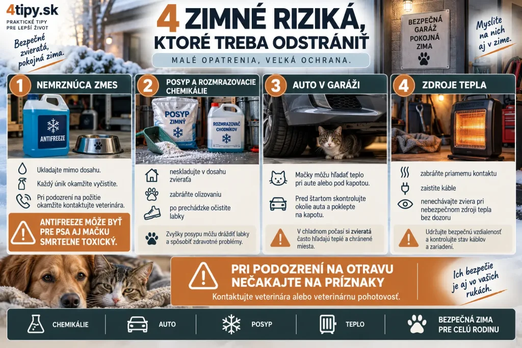 Zimné nebezpečenstvá pre psa a mačku v domácnosti a garáži – nemrznúca zmes, etylénglykol, posypová soľ, rozmrazovacie chemikálie, mačka pod autom a pod kapotou, kontrola auta pred štartovaním, bezpečné elektrické ohrievače, káble, krb a ochrana domácich zvierat pred otravou a popálením.